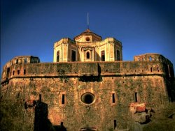 Expand Video