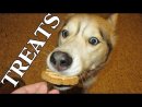 Expand Video