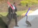 Expand Video