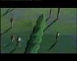 Expand Video