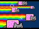 Expand Video