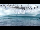 Expand Video