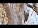 Expand Video
