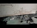 Expand Video