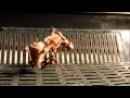 Expand Video