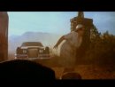 Expand Video