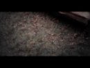 Expand Video
